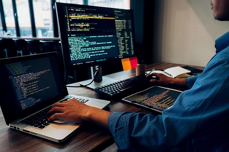 Android Programming or Web Design?