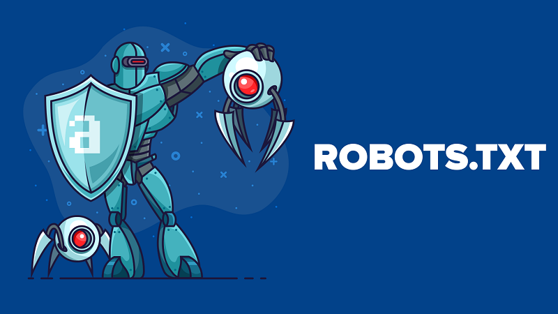 What is a Robots.txt file, and what is it used for?